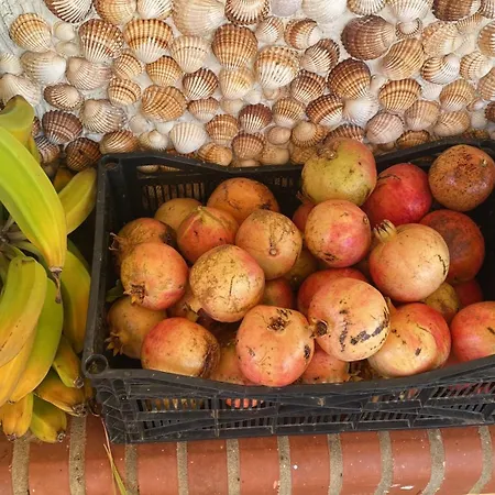 Дом отдыха Vintage With Stunning Vieuws *