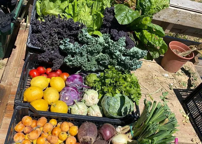 Hébergement de vacances Vintage With Stunning Vieuws Estepona