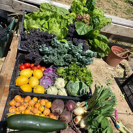 Сasa de vacaciones Vintage With Stunning Vieuws Estepona