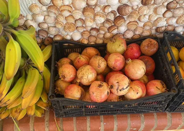 Holiday home Vintage With Stunning Vieuws *